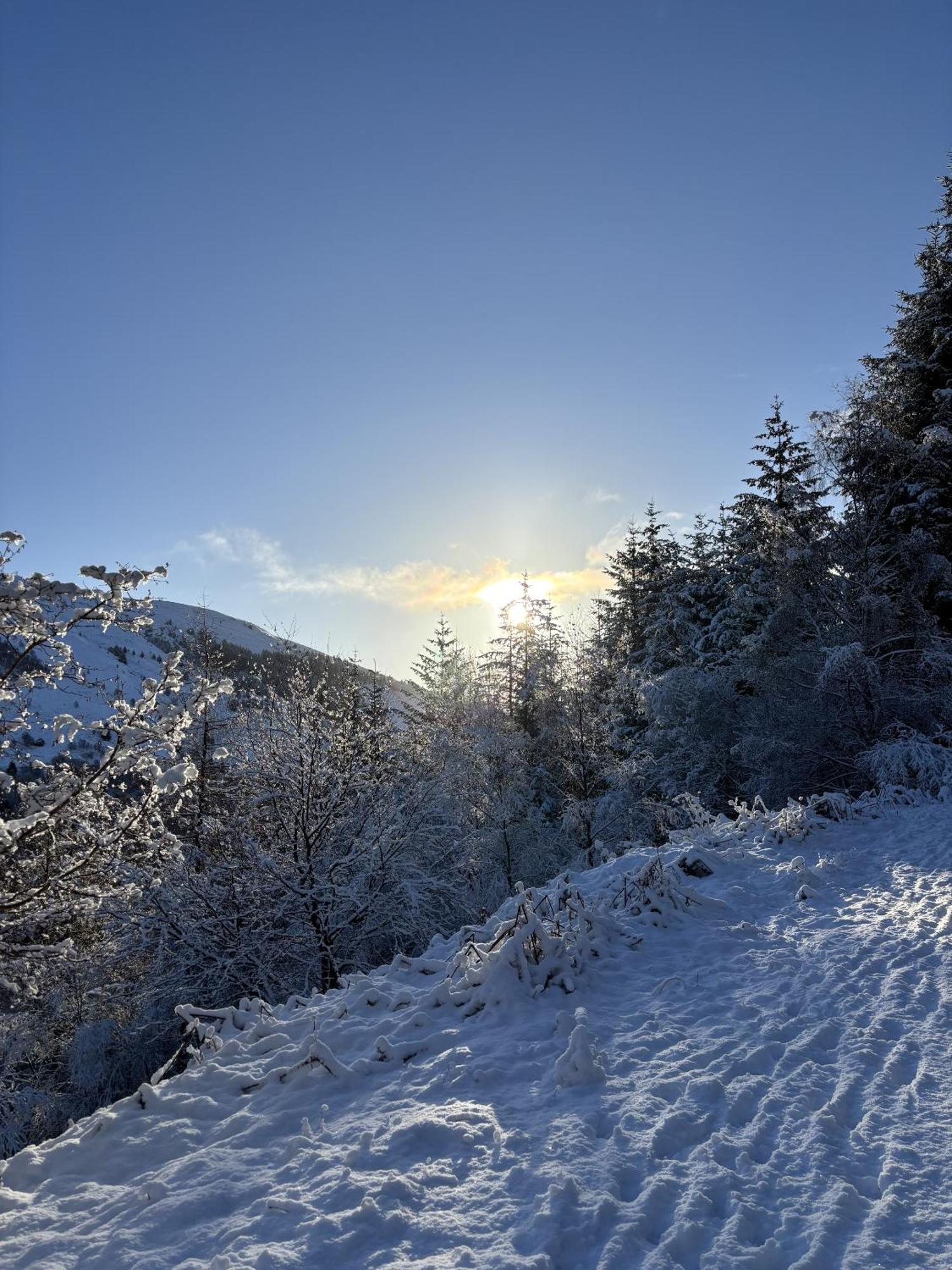 Bright Star Lodge Spean Bridge Kültér fotó